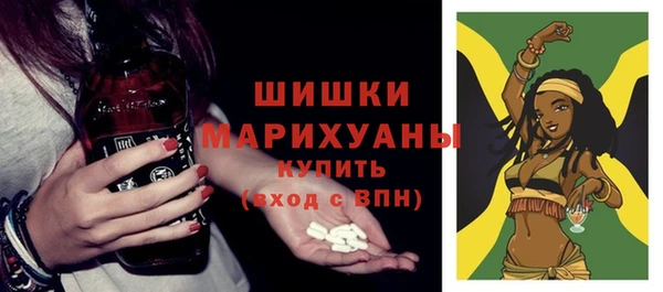 хмурый Верея