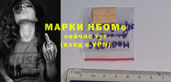 хмурый Верея