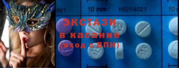 хмурый Верея