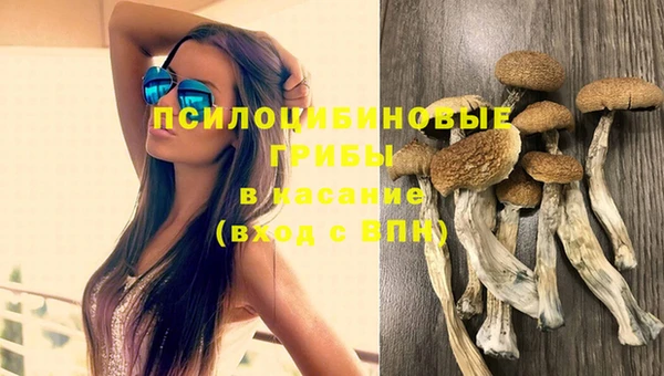 хмурый Верея