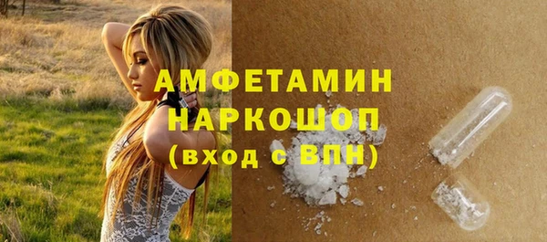 хмурый Верея
