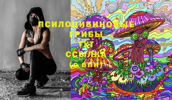 хмурый Верея