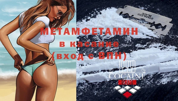 хмурый Верея