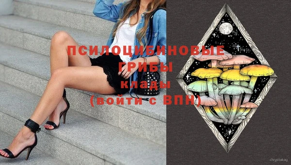 хмурый Верея