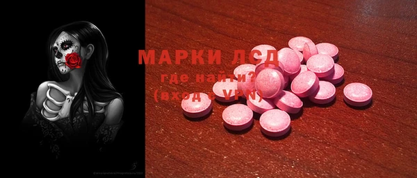 хмурый Верея