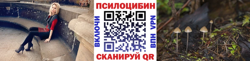 Купить закладки  Нарьян-Мар  Псилоцибиновые грибы ЛСД 